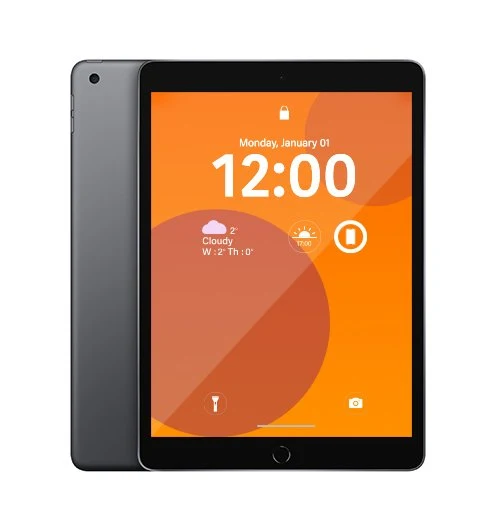 Apple iPad 9th Gen (2021) Wi-Fi + Cellular 256GB - Space Gray - [~Refurbished: Good condition]